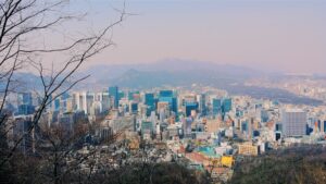 미식과 예술의 경계: 서울과 제주에서 만나는 최상위 하이엔드 다이닝과 디저트의 미학_0