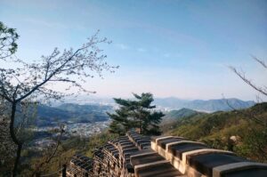 미각의 연금술: 서울에서 경험하는 최상위 다이닝 소사이어티와 하이엔드 카페 큐레이션_1