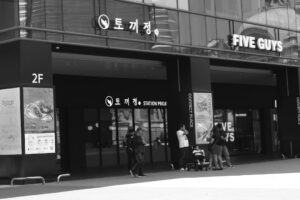 시공간을 초월한 비주얼 럭셔리: 대한민국의 예술적 랜드마크와 프리미엄 포토 아카이브_0